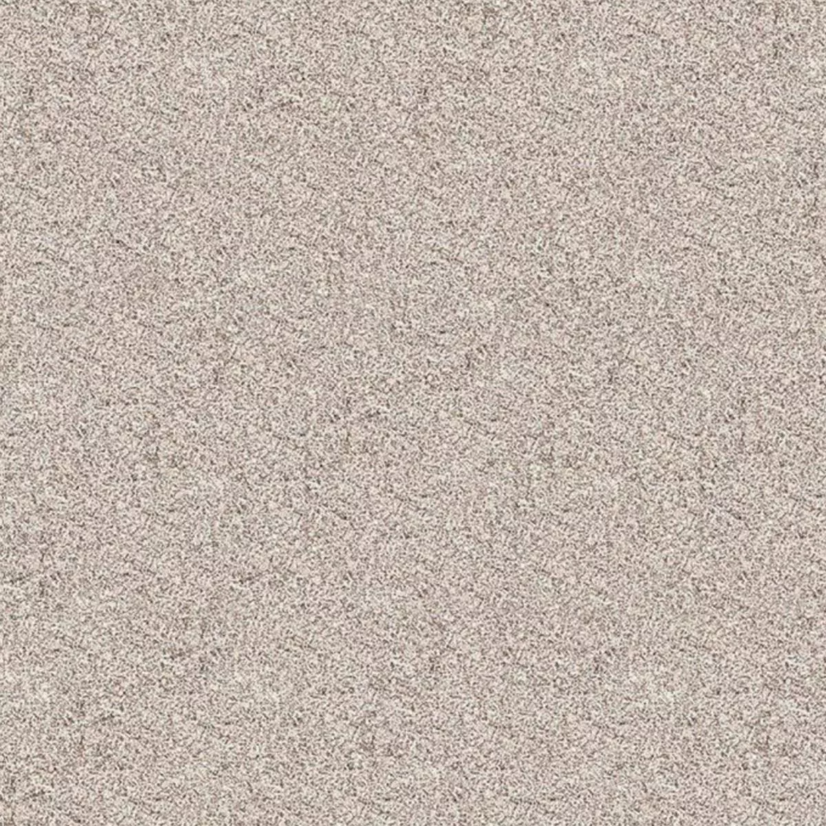 Campione Piastrella Esterni Gres Porcellanato Artland Grigio Beige 100x100x2 cm