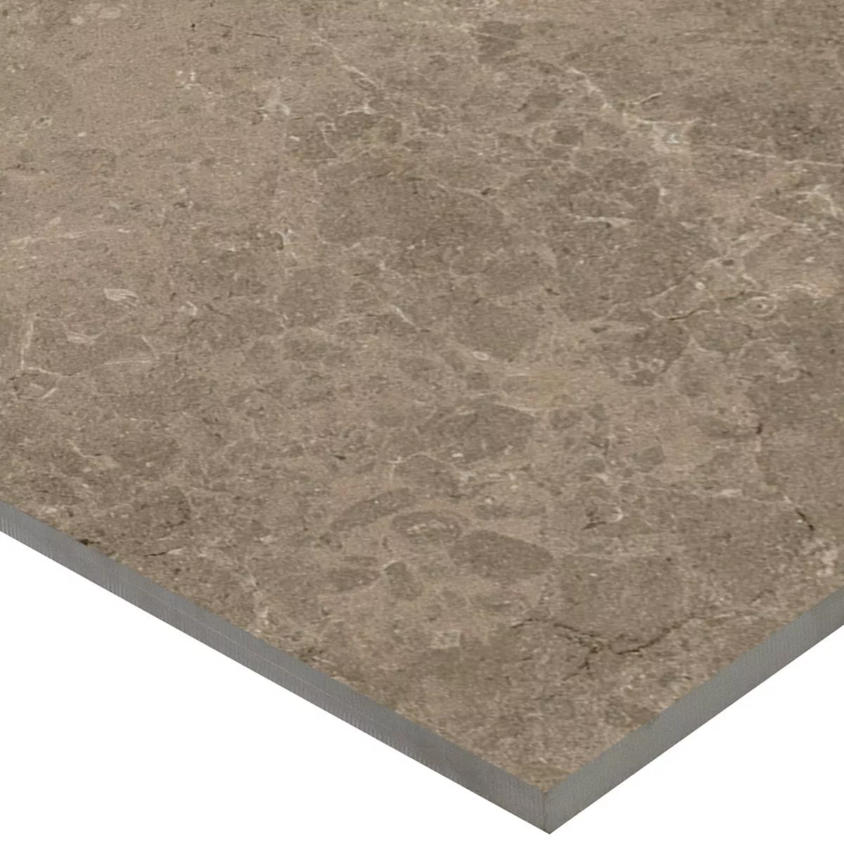 Piastrella Esterni Gres Porcellanato Arizona Taupe 60x60x2 cm