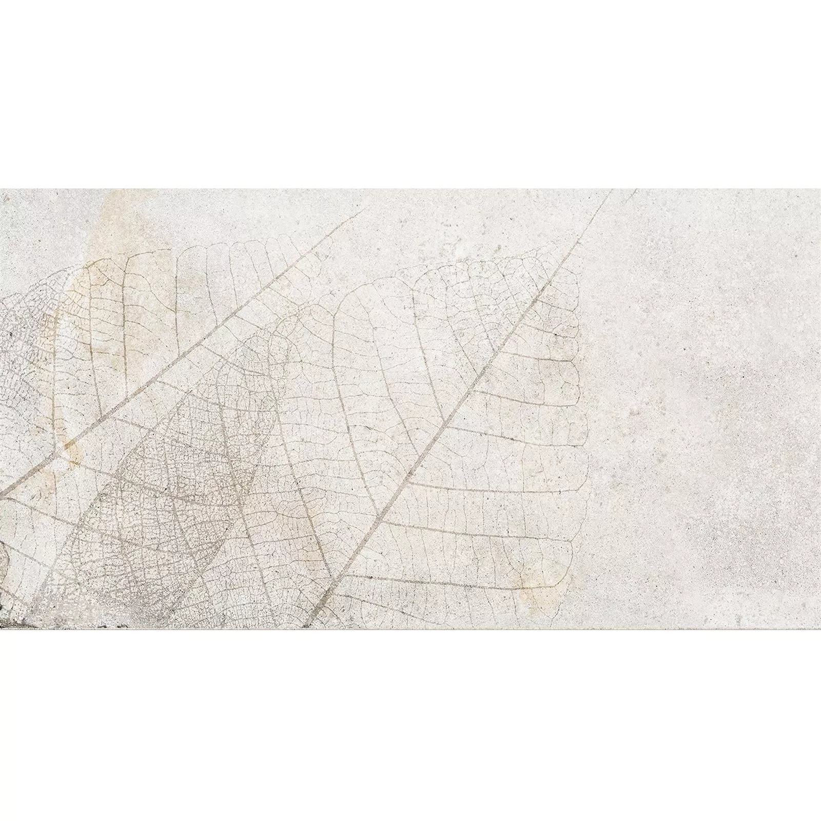 Rivestimenti Attila Grigio Rettificato Decorative 3 30x60cm Rivestimenti Attila Grigio Rettificato Decorative 3 30x60cm