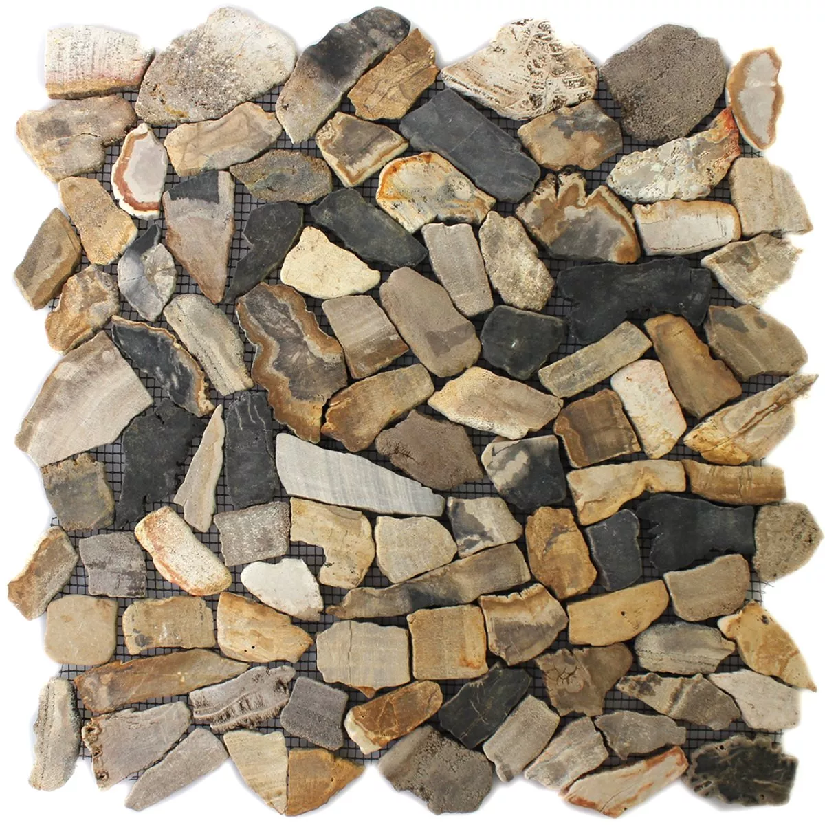 Campione Mosaico Marmo Rotte Piastrelle Antiko Oak