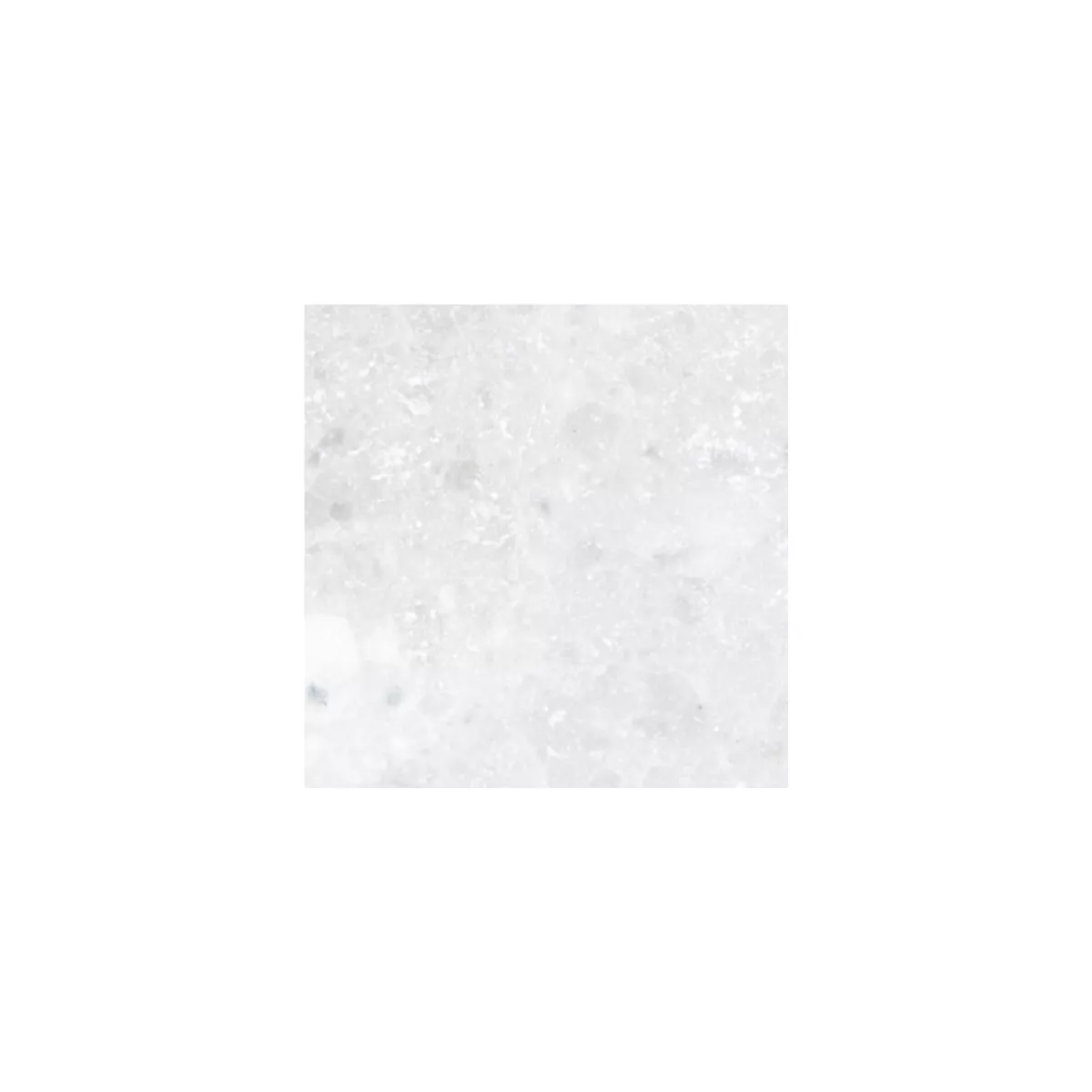 Campione Pietra Naturale Piastrelle Marmo Treviso Bianco 30,5x30,5cm