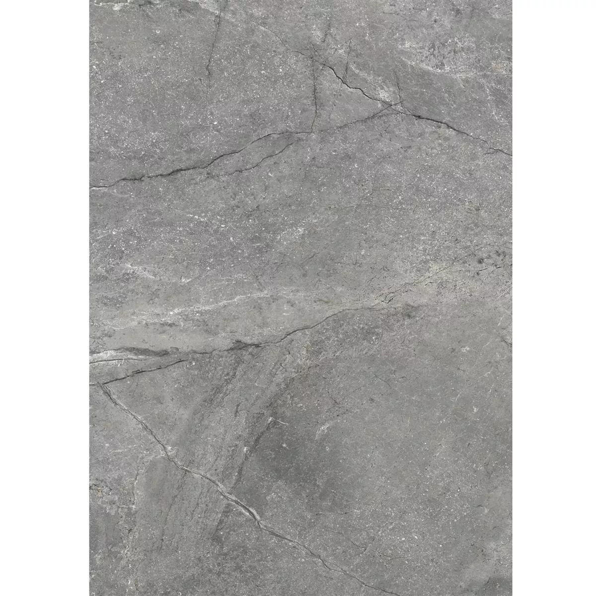 Piastrelle Pangea Marmo Ottica Opaco Grigio 60x120cm