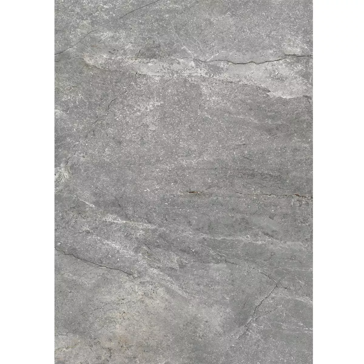 Campione Piastrelle Pangea Marmo Ottica Lucidato Grigio 60x120cm