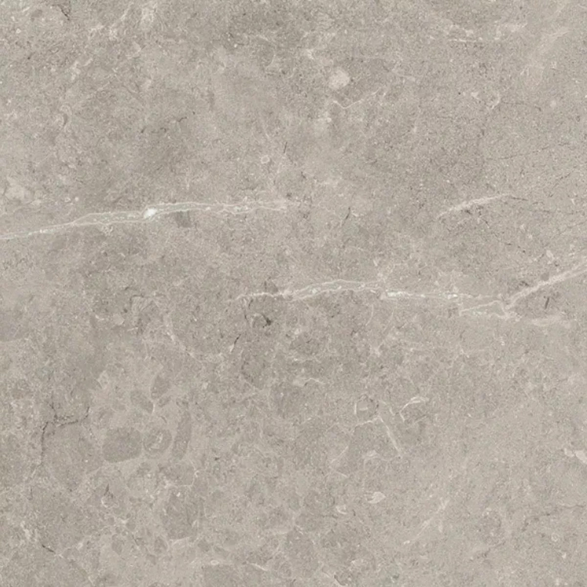 Piastrella Esterni Gres Porcellanato Arizona Grigio 60x60x2 cm