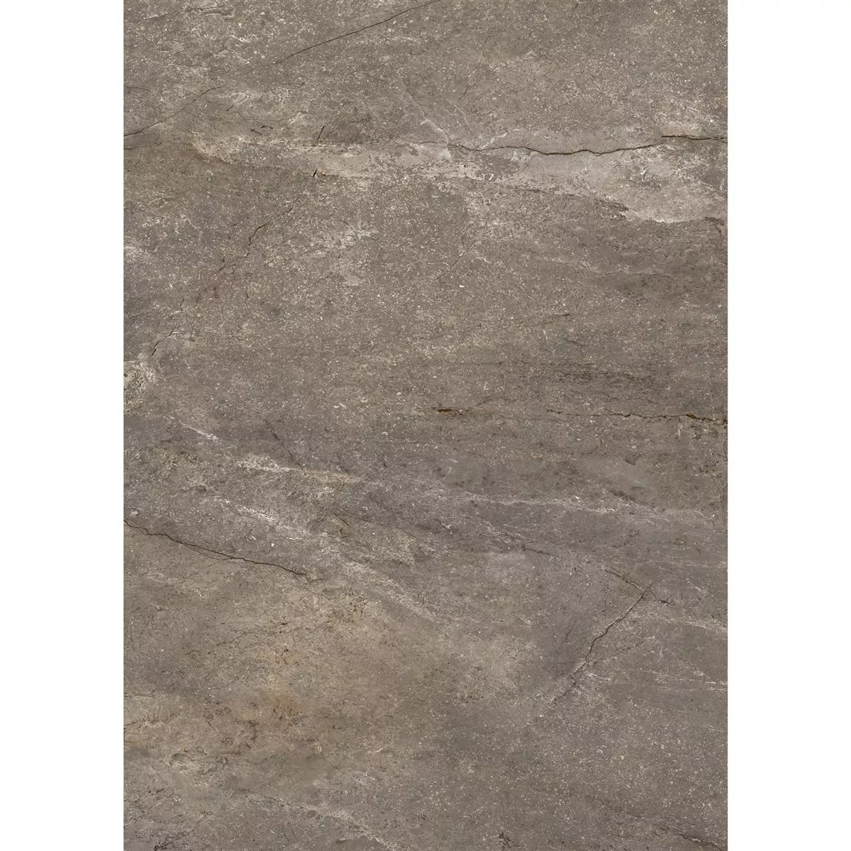 Piastrelle Pangea Marmo Ottica Opaco Mokka 60x120cm