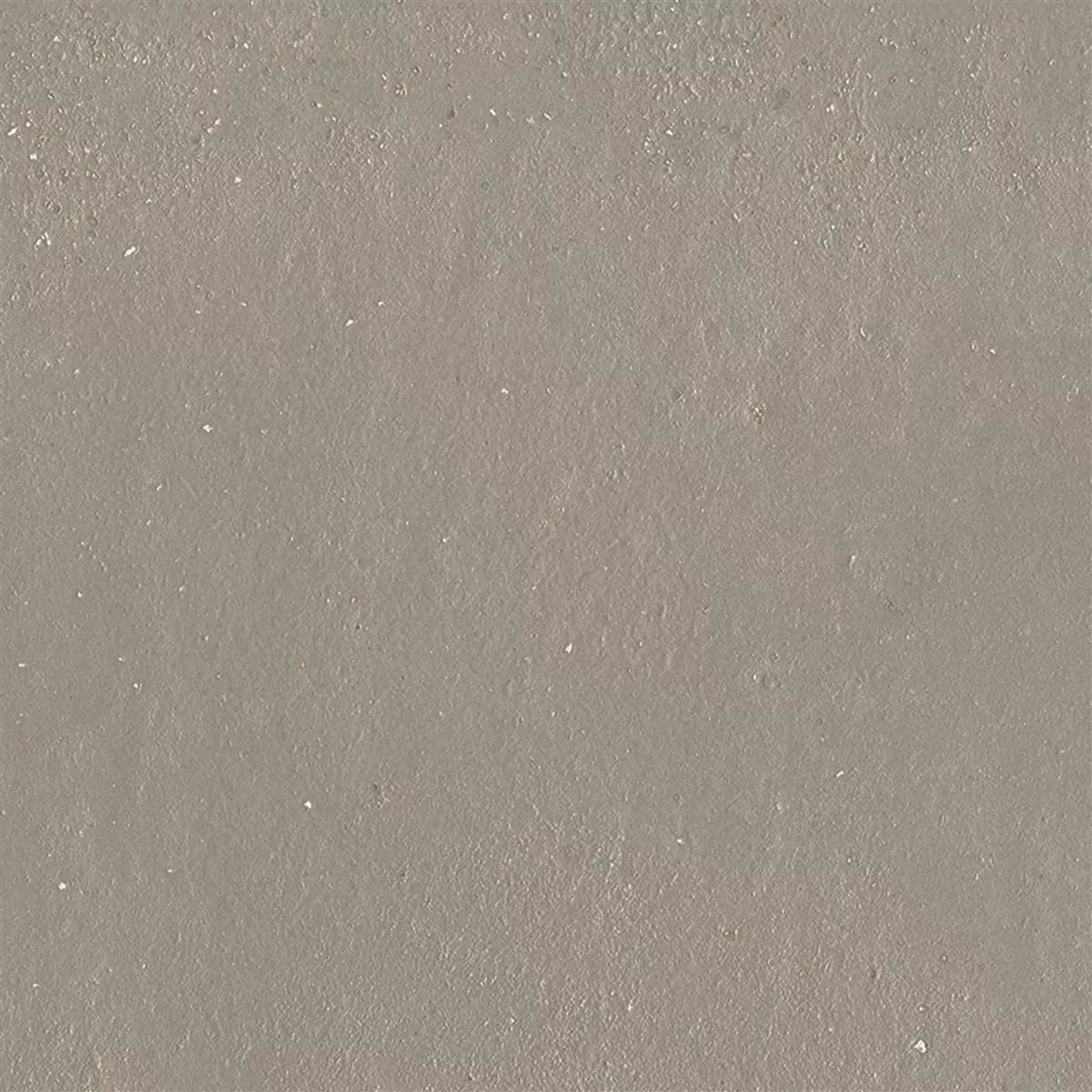 Piastrelle Malibu Cemento Ottica Taupe 60x60cm