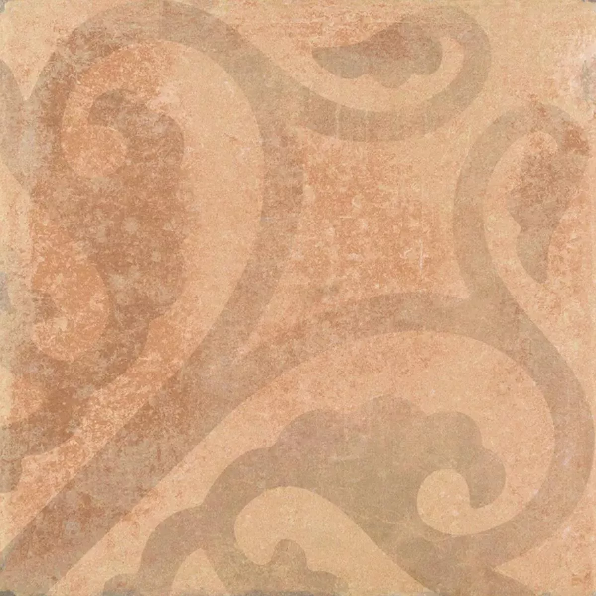 Queens Terracotta Marrone Decorative 25x25 cm