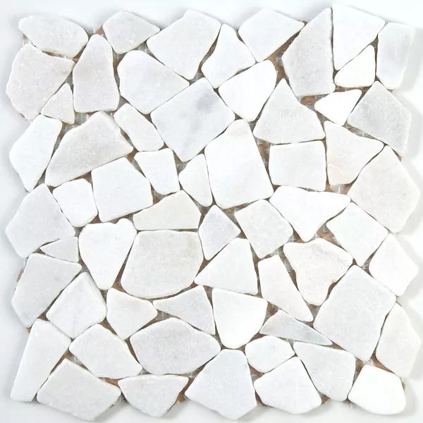 Campione Mosaico Marmo Rotte Piastrelle Bianco