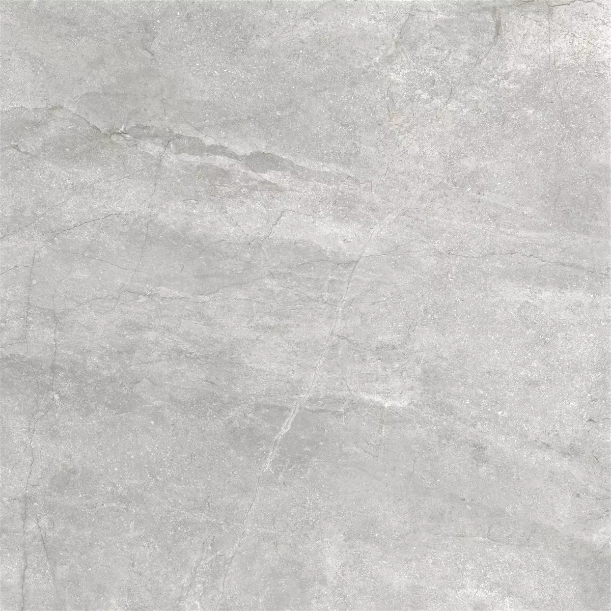Piastrelle Pangea Marmo Ottica Opaco Argento 60x60cm