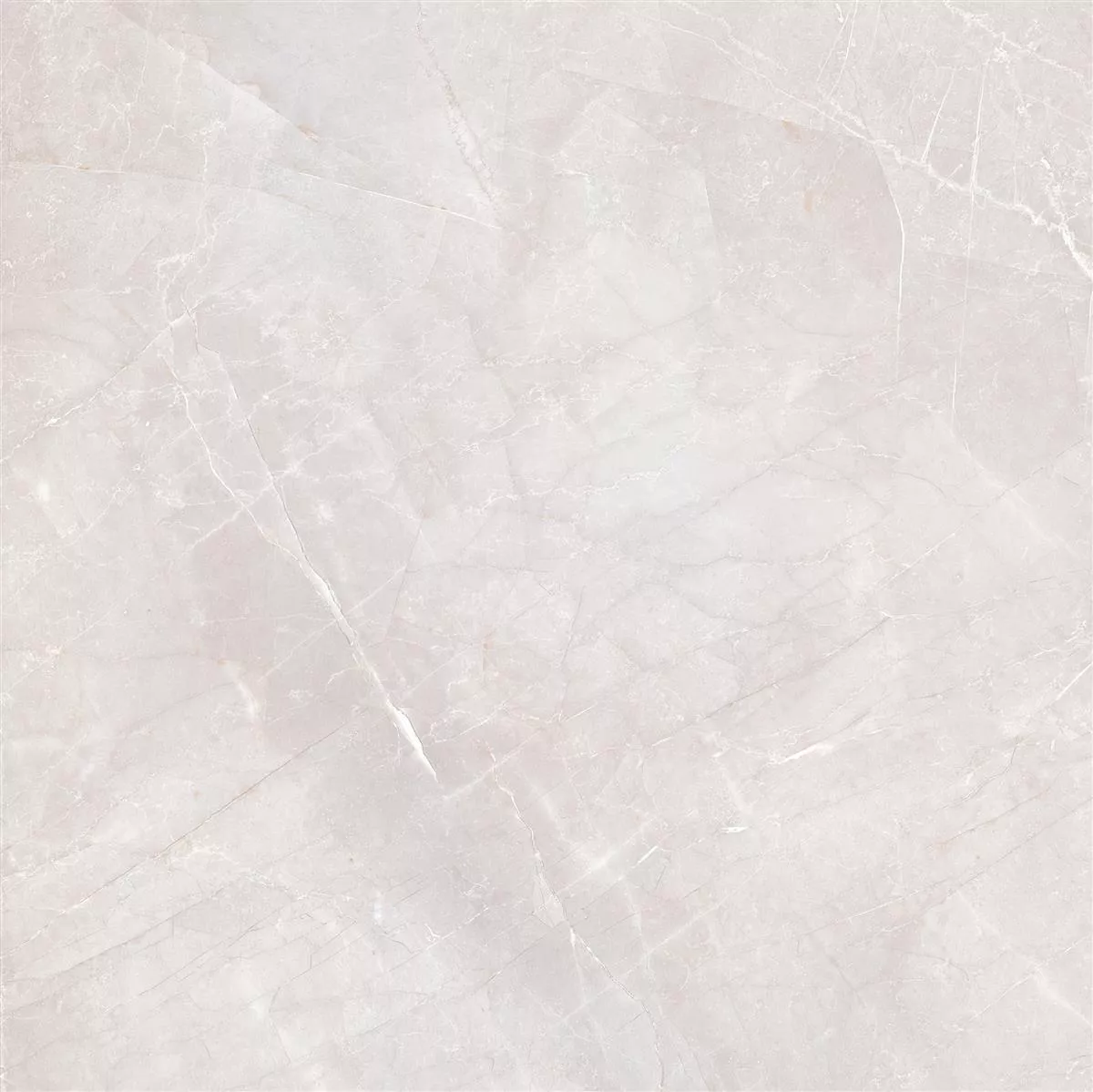 Piastrelle XXL Lowland Lucidato Grigio Chiaro 80x80cm Piastrelle XXL Lowland Lucidato Grigio Chiaro 80x80cm