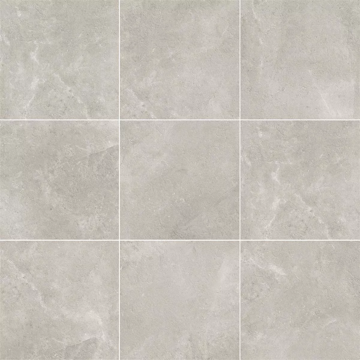 Campione Piastrelle Bangui Pietra Ottica 60x60cm Grigio