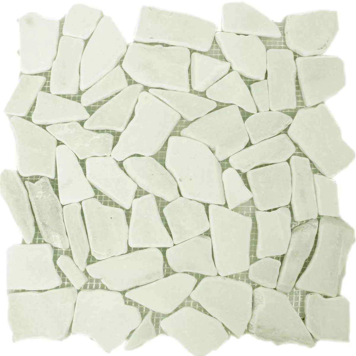 Campione Mosaico Marmo Rotte Piastrelle Bianco