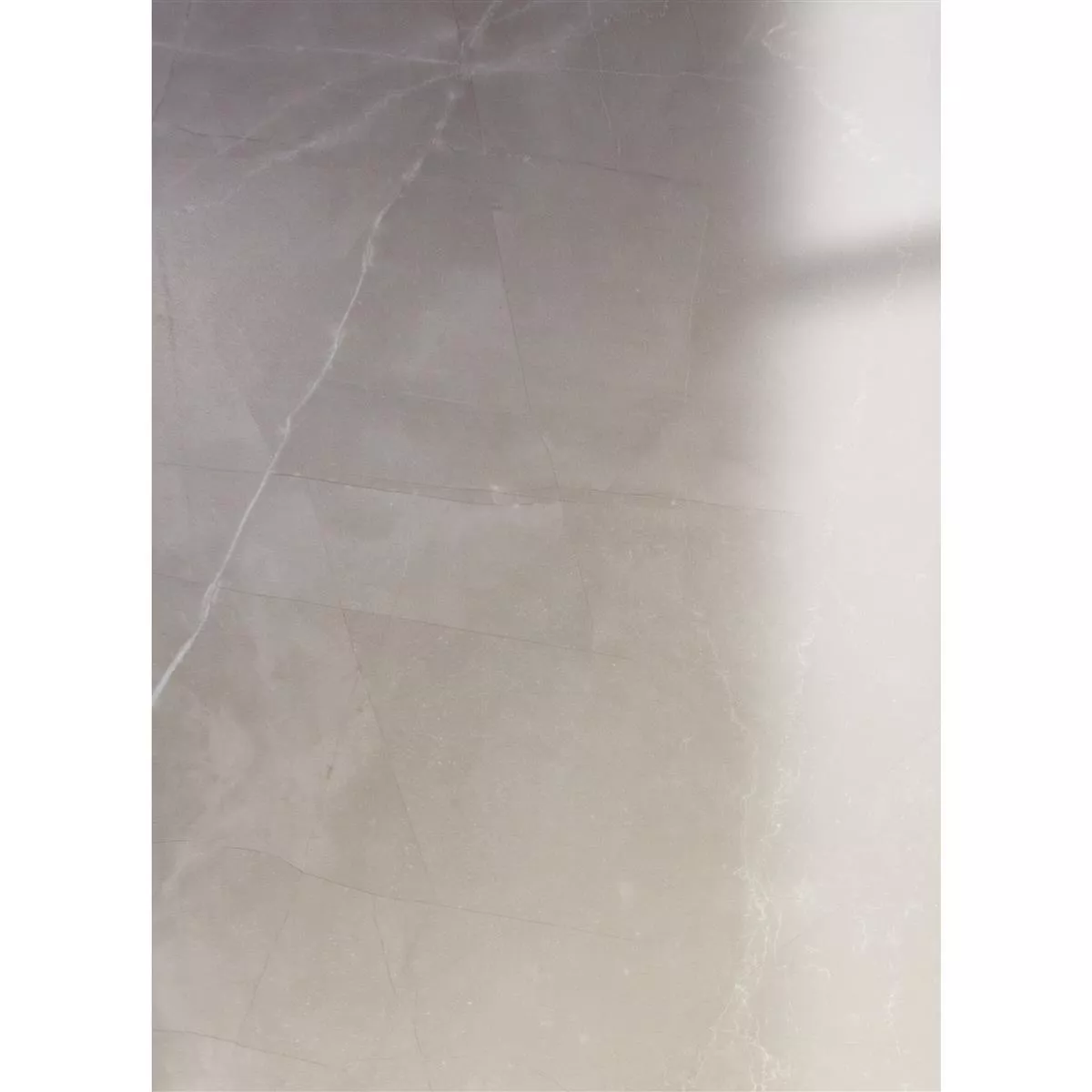 Piastrelle Manarola Marmo Ottica Lucida Lucidato Grigio 60x120cm Piastrelle Manarola Marmo Ottica Lucida Lucidato Grigio 60x120cm