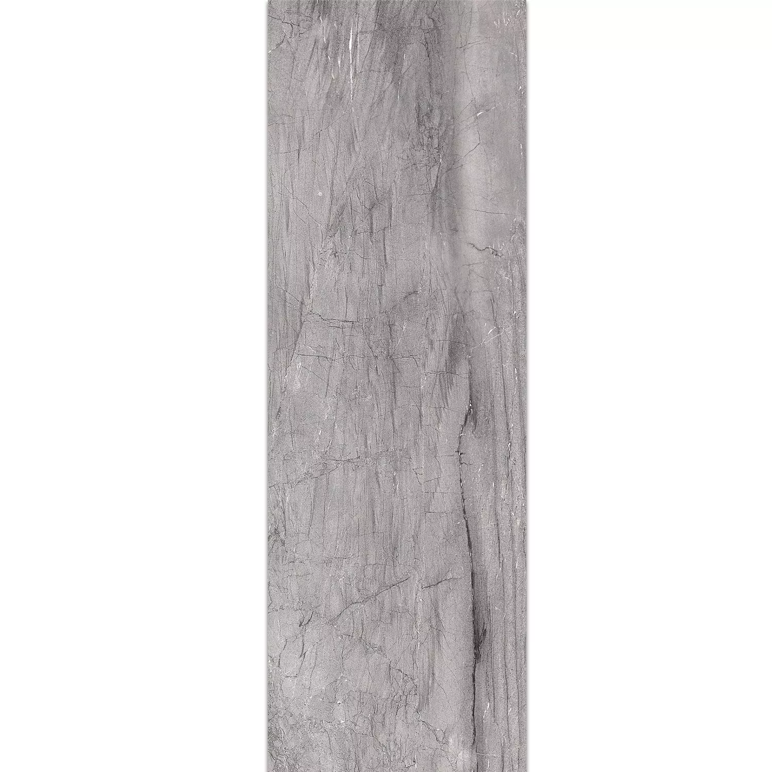 Campione Rivestimenti Capitol Grey 25x75cm