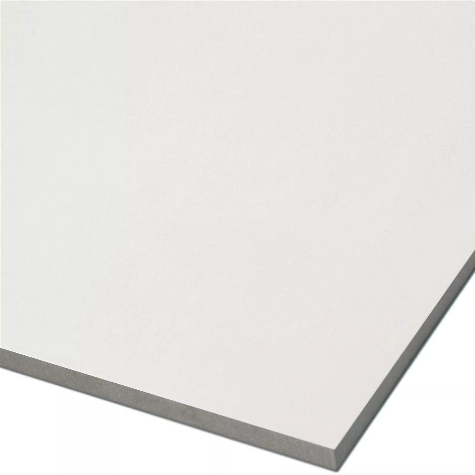 Piastrelle Mainland Cemento Ottica Lucidato 60x60cm Bianco