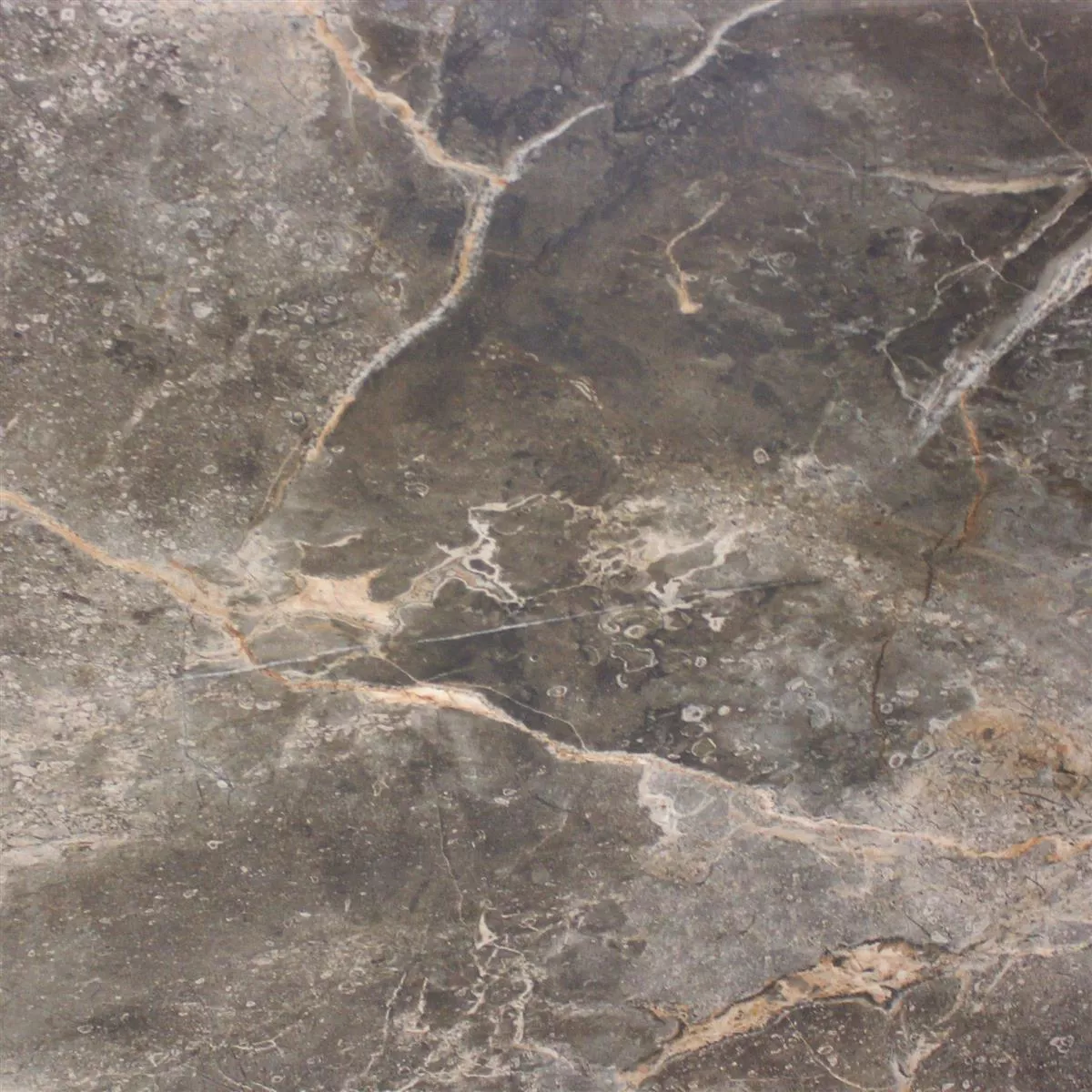 Piastrelle Marmo Ottica Himalaya Marrone Lucidato 60x60cm Piastrelle Marmo Ottica Himalaya Marrone Lucidato 60x60cm