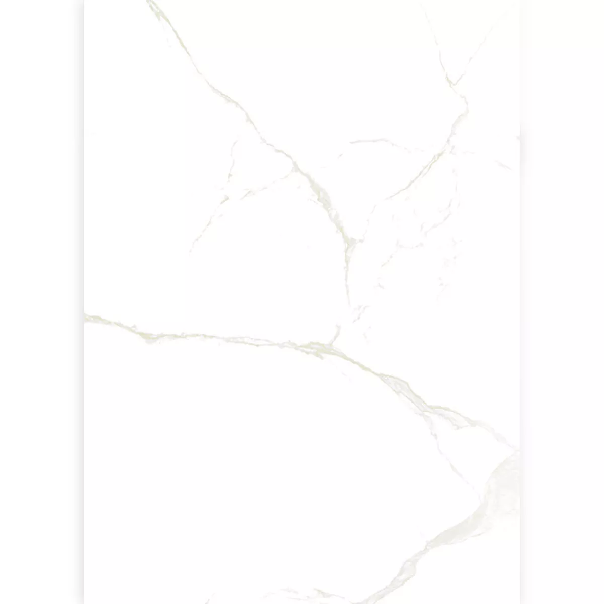 Piastrelle Ampezzo Calacatta Marmo Ottica Bianco Beige Lucidato Lucida 60x120cm Piastrelle Ampezzo Calacatta Marmo Ottica Bianco Beige Lucidato Lucida 60x120cm