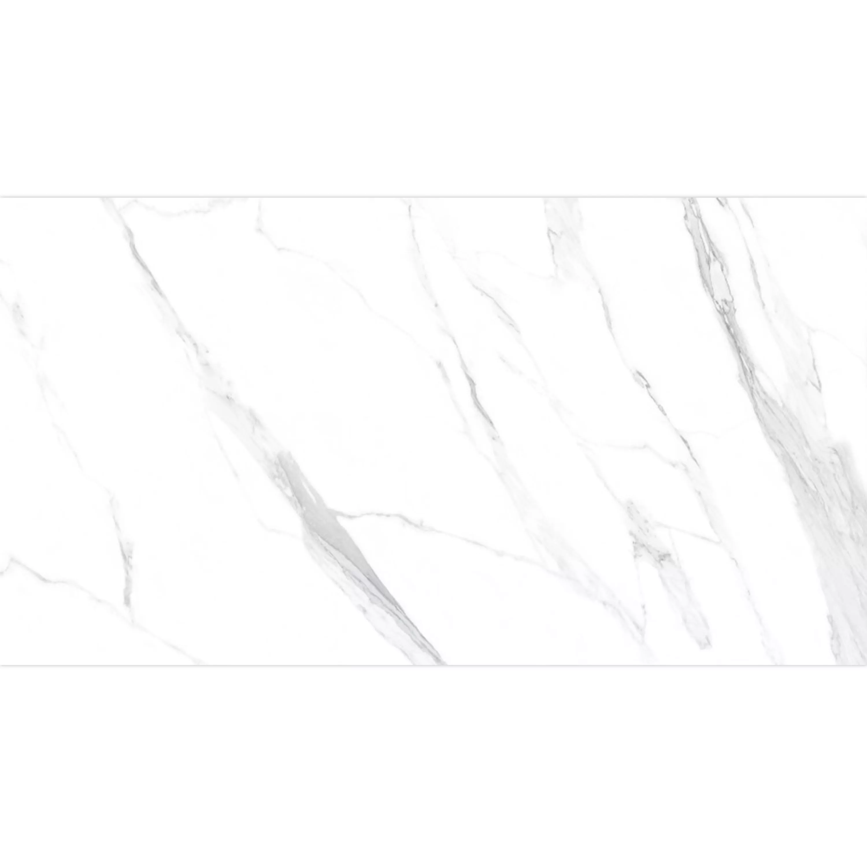 Piastrelle Louisburg Statuario Bianco Opaco Rettificato 30x60cm