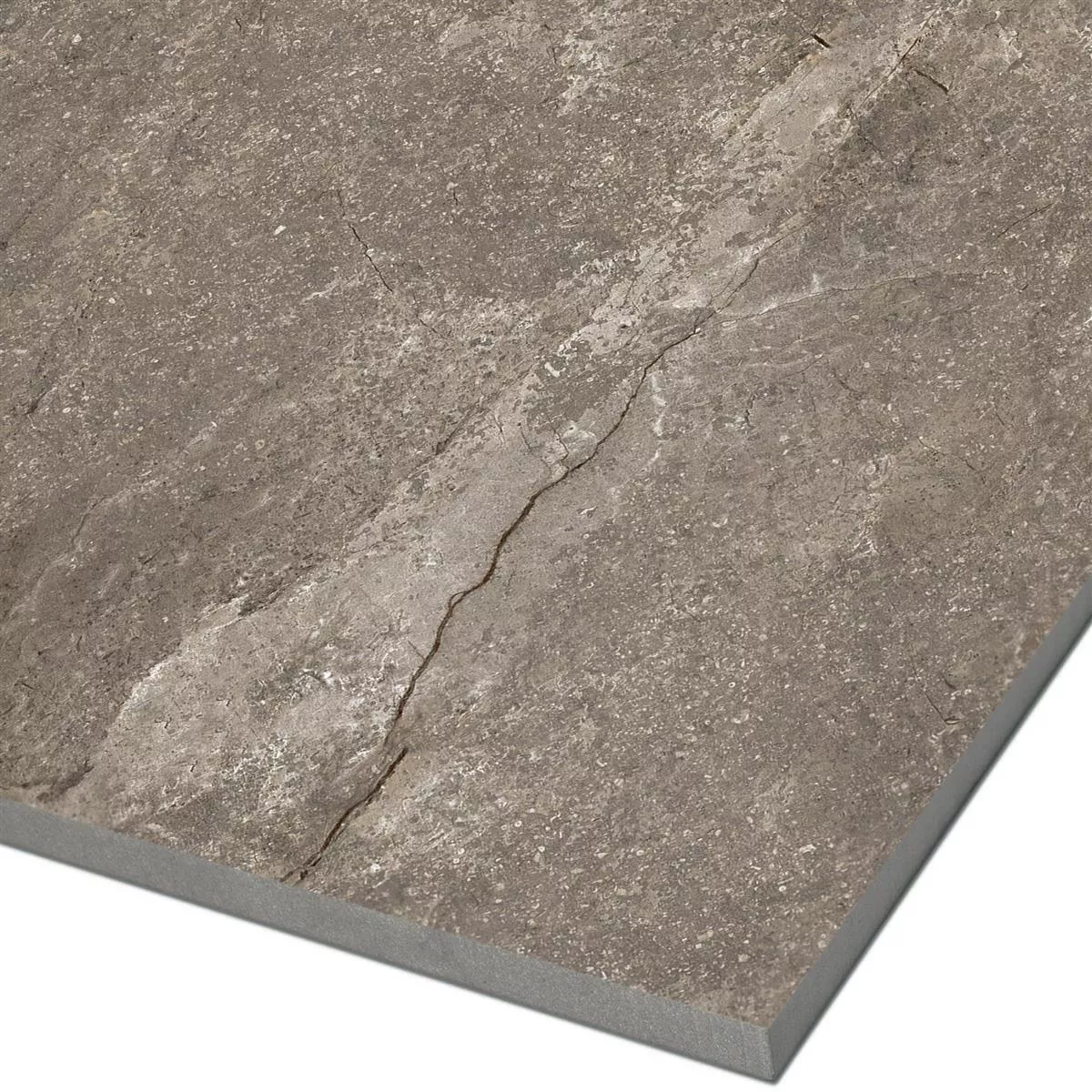 Campione Piastrelle Pangea Marmo Ottica Lucidato Mokka 60x60cm