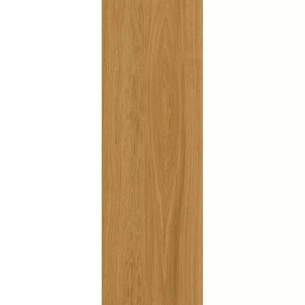 Piastrella Esterni Legno Ottica TerraLine Honey 40x120 cm