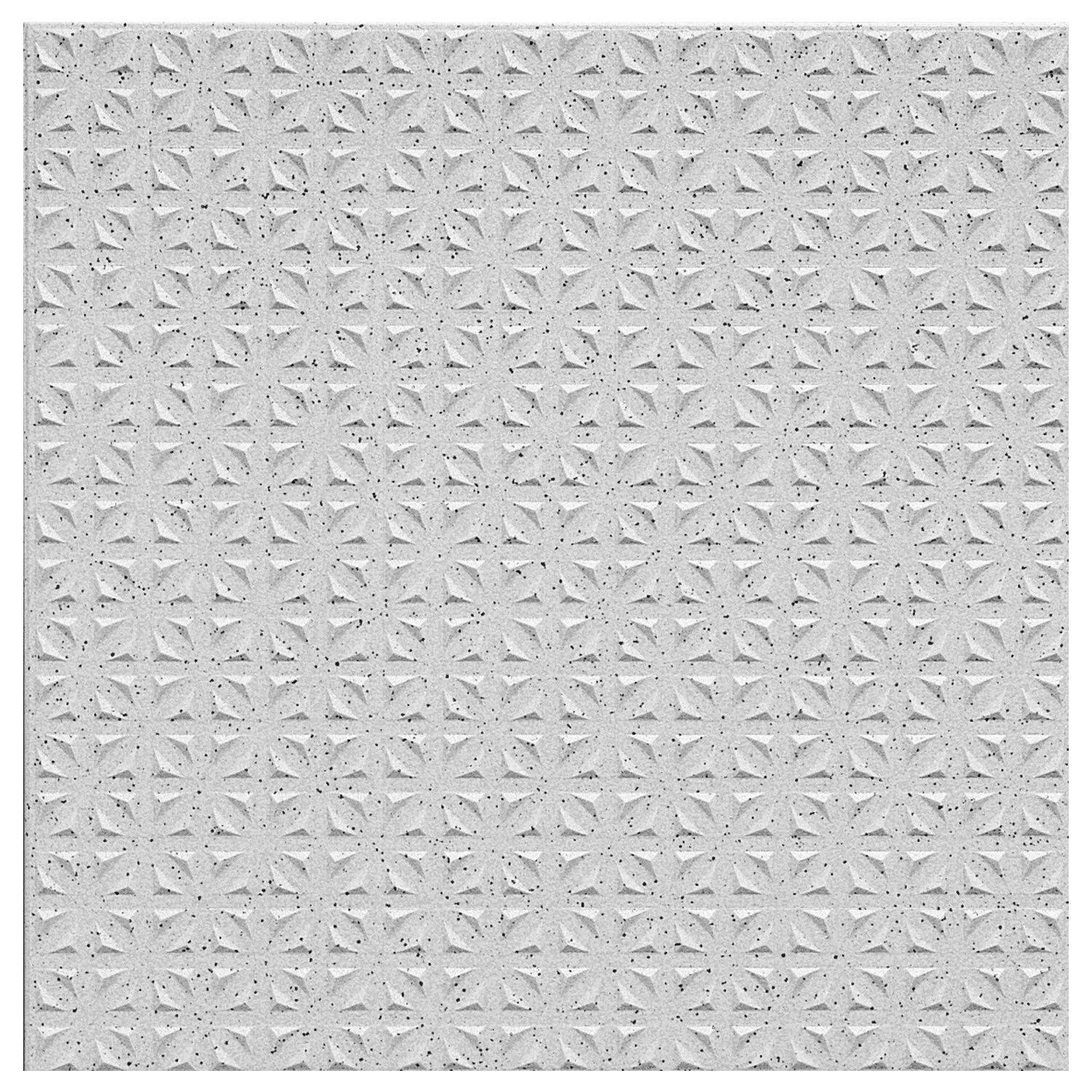 Piastrelle Grana Fine R12/V4 Grigio Opaco 20x20cm Piastrelle Grana Fine R12/V4 Grigio Opaco 20x20cm