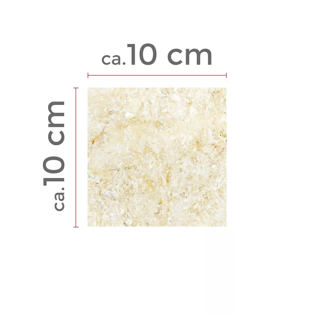 Campione Pietra Naturale Piastrelle Calcare Garbagna Beige 10x10cm