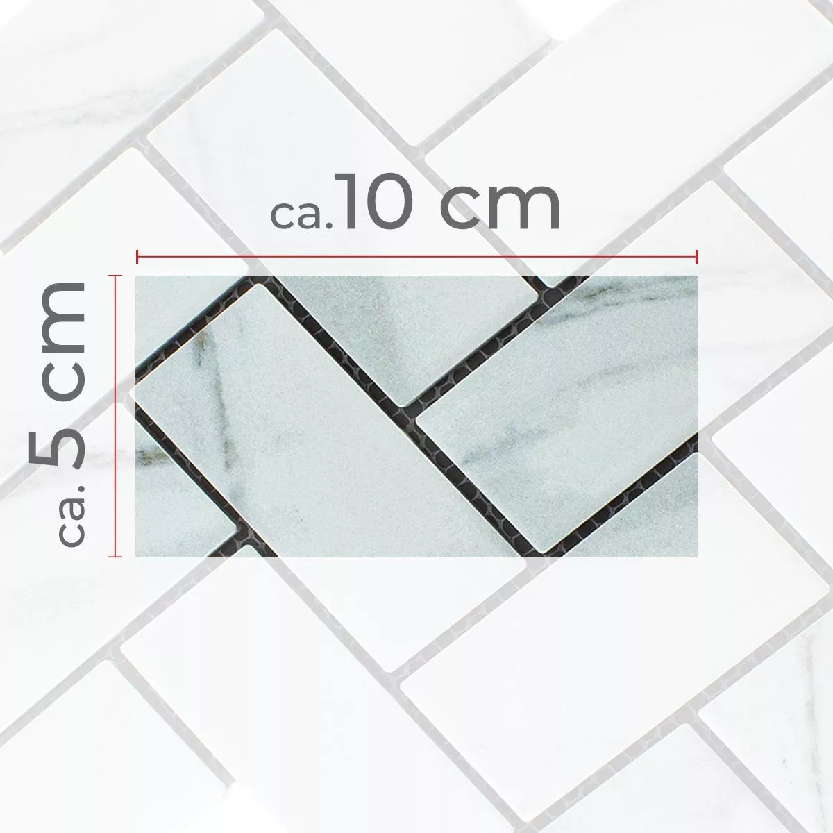 Campione Ceramica Mosaico Fernley Lisca Di Pesce Carrara Pietra Ottica Carrara