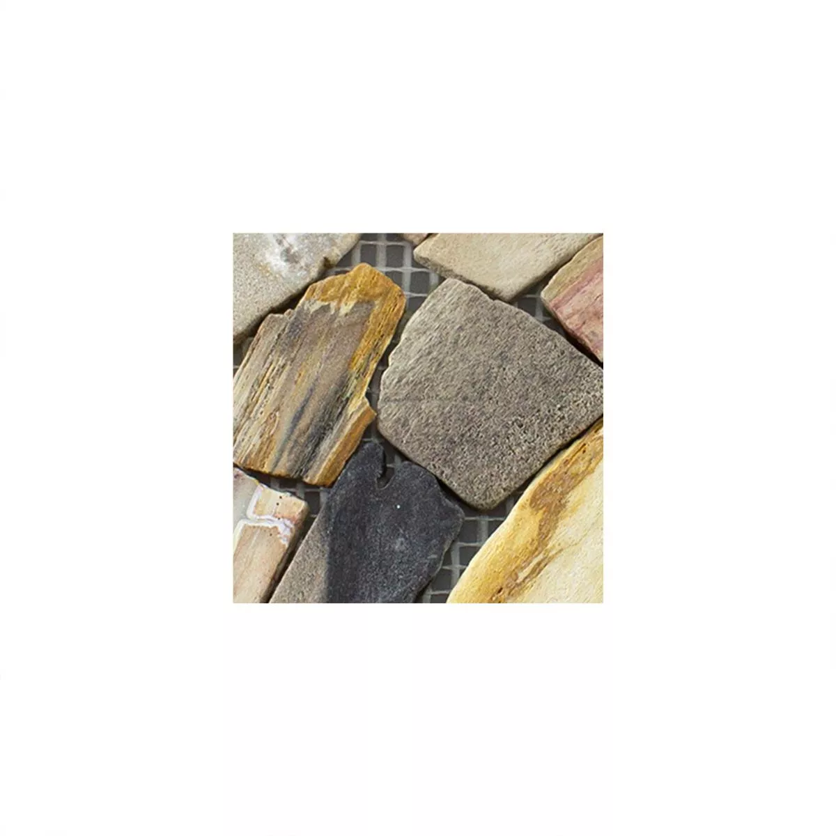 Campione Marmo Rotte Mosaico Erdenet Marrone Beige