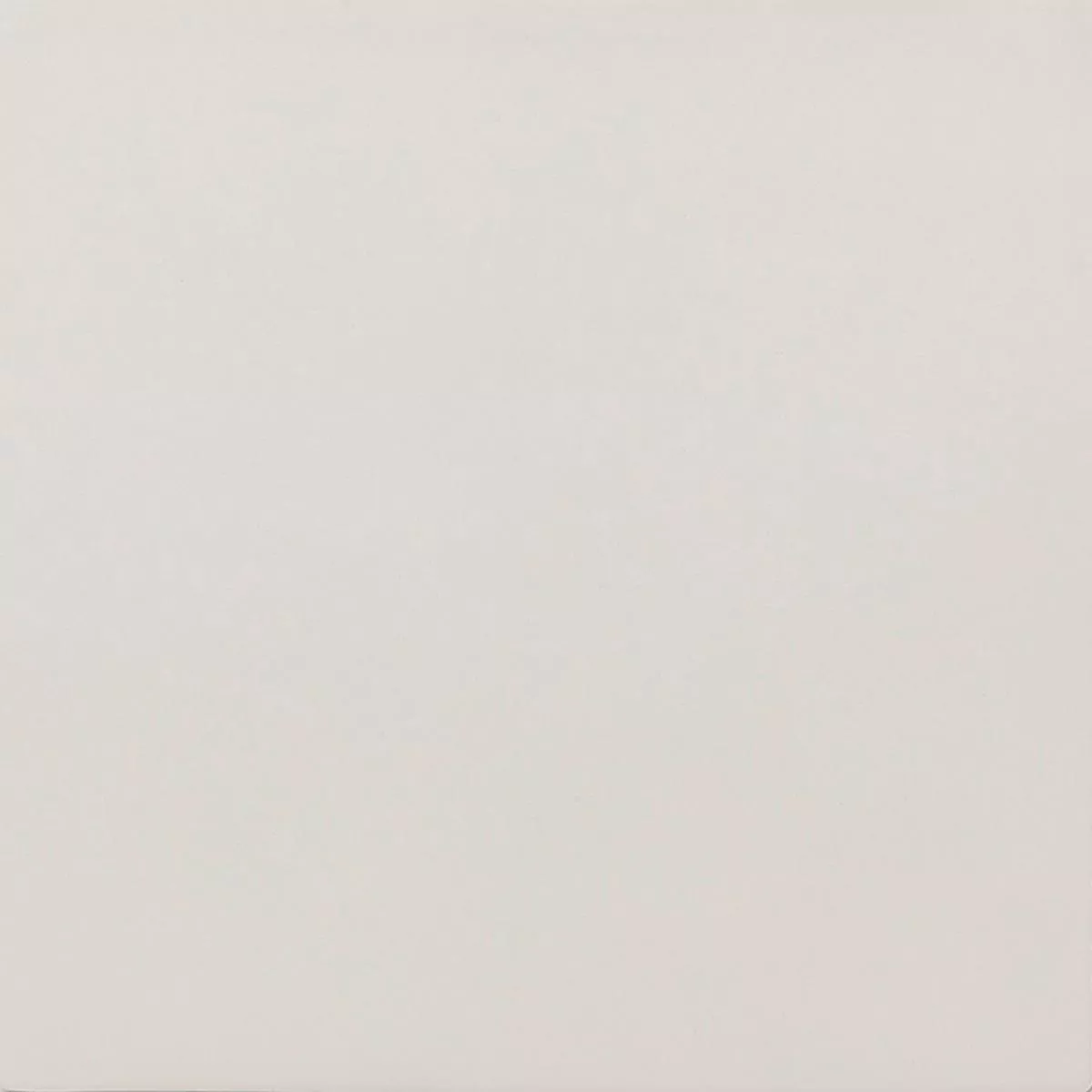 Gres Porcellanato Piastrelle Ornamenti Piastrella Di Base Bianco Gres Porcellanato Piastrelle Ornamenti Piastrella Di Base Bianco