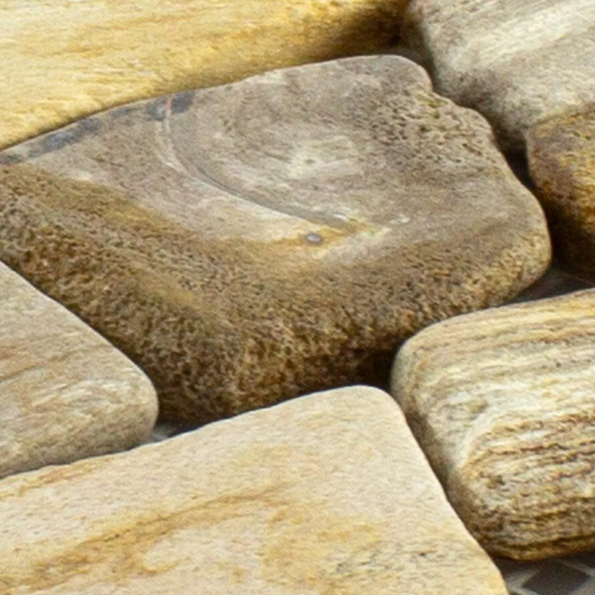 Campione Marmo Rotte Mosaico Erdenet Marrone Beige