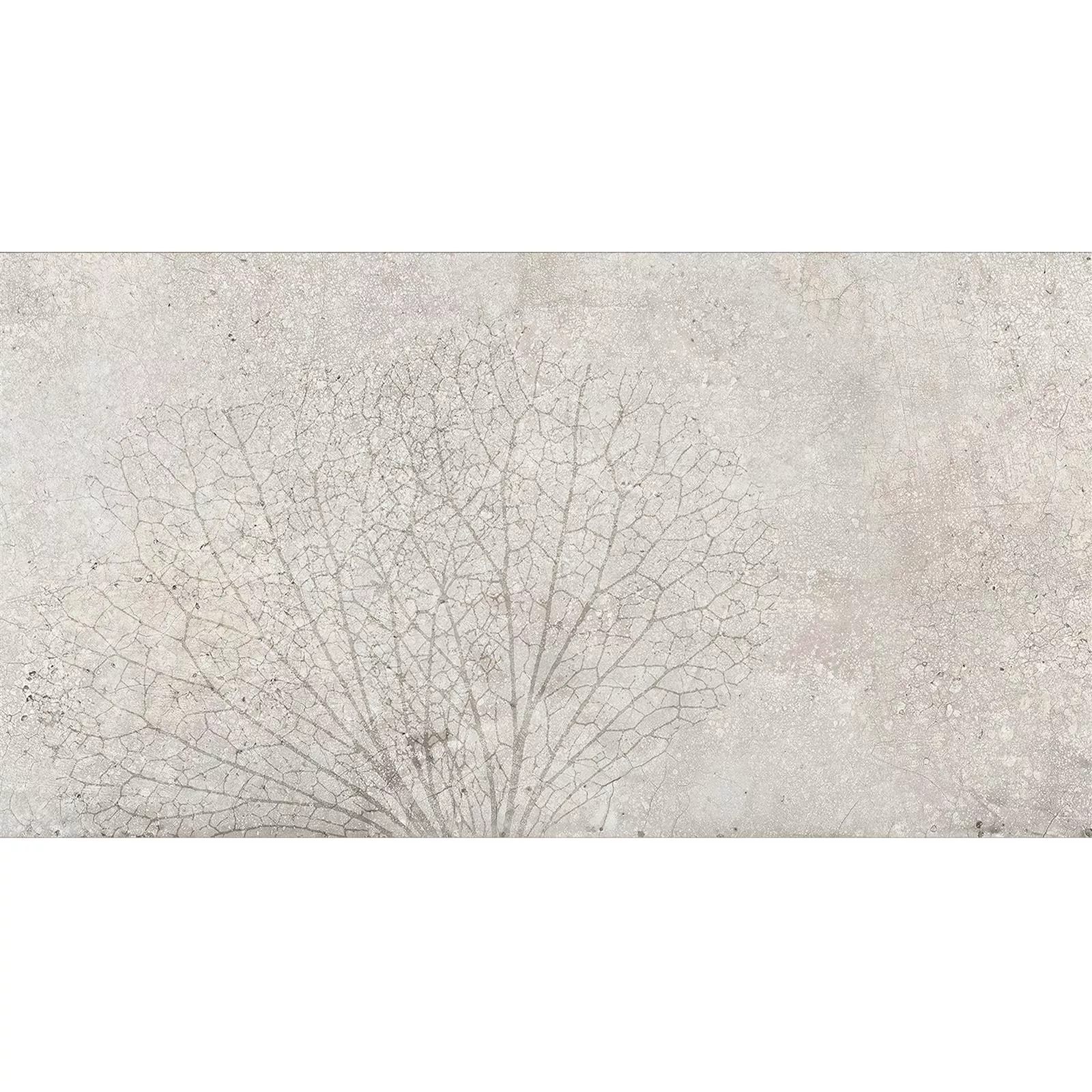 Rivestimenti Attila Grigio Rettificato Decorative 1 30x60cm Rivestimenti Attila Grigio Rettificato Decorative 1 30x60cm