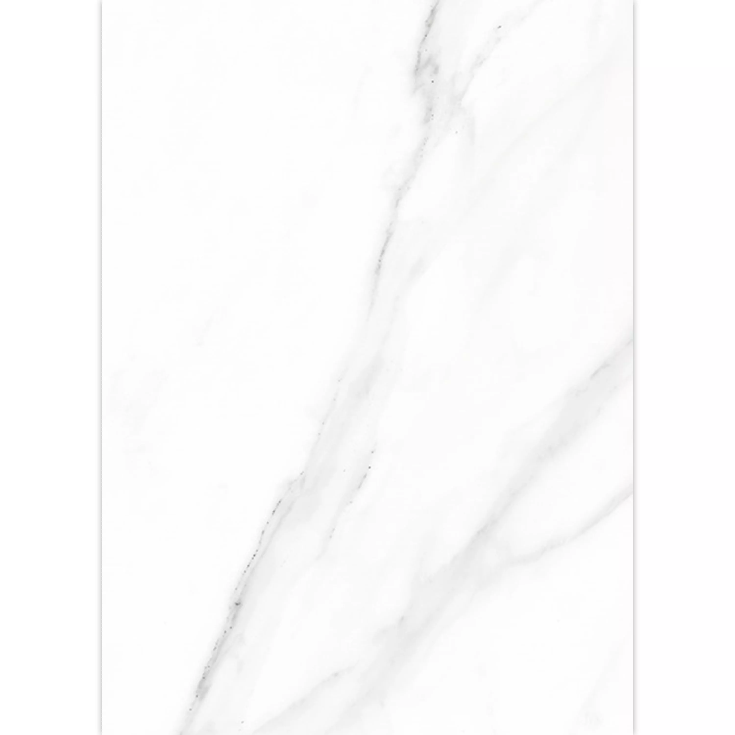 Piastrelle Arcadia Marmo Ottica Opaco Bianco 60x120cm