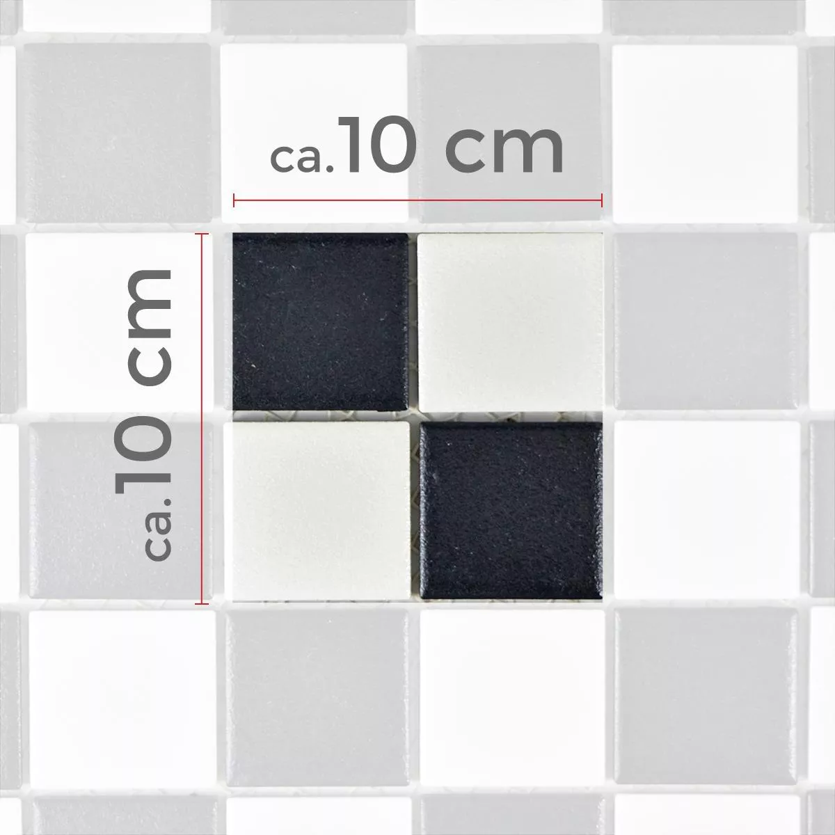 Campione Ceramica Mosaico Heinmot Nero Bianco R10 Q48