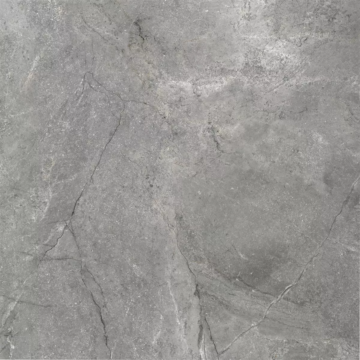 Campione Piastrelle Pangea Marmo Ottica Opaco Grigio 60x60cm