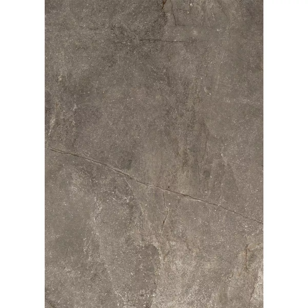 Campione Piastrelle Pangea Marmo Ottica Opaco Mokka 60x120cm