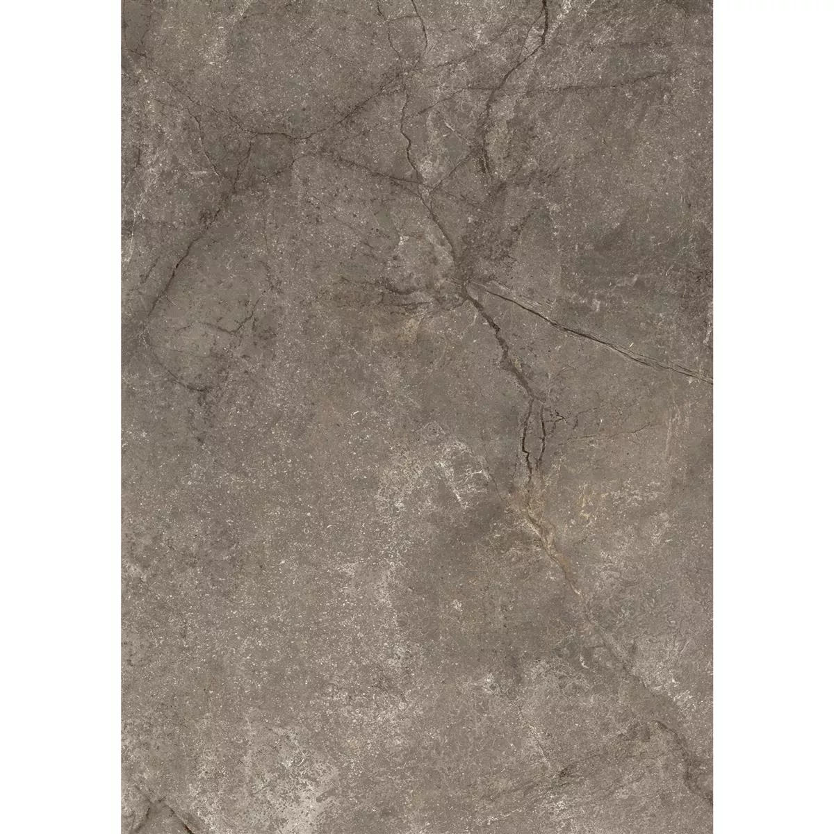 Campione Piastrelle Pangea Marmo Ottica Opaco Mokka 60x120cm