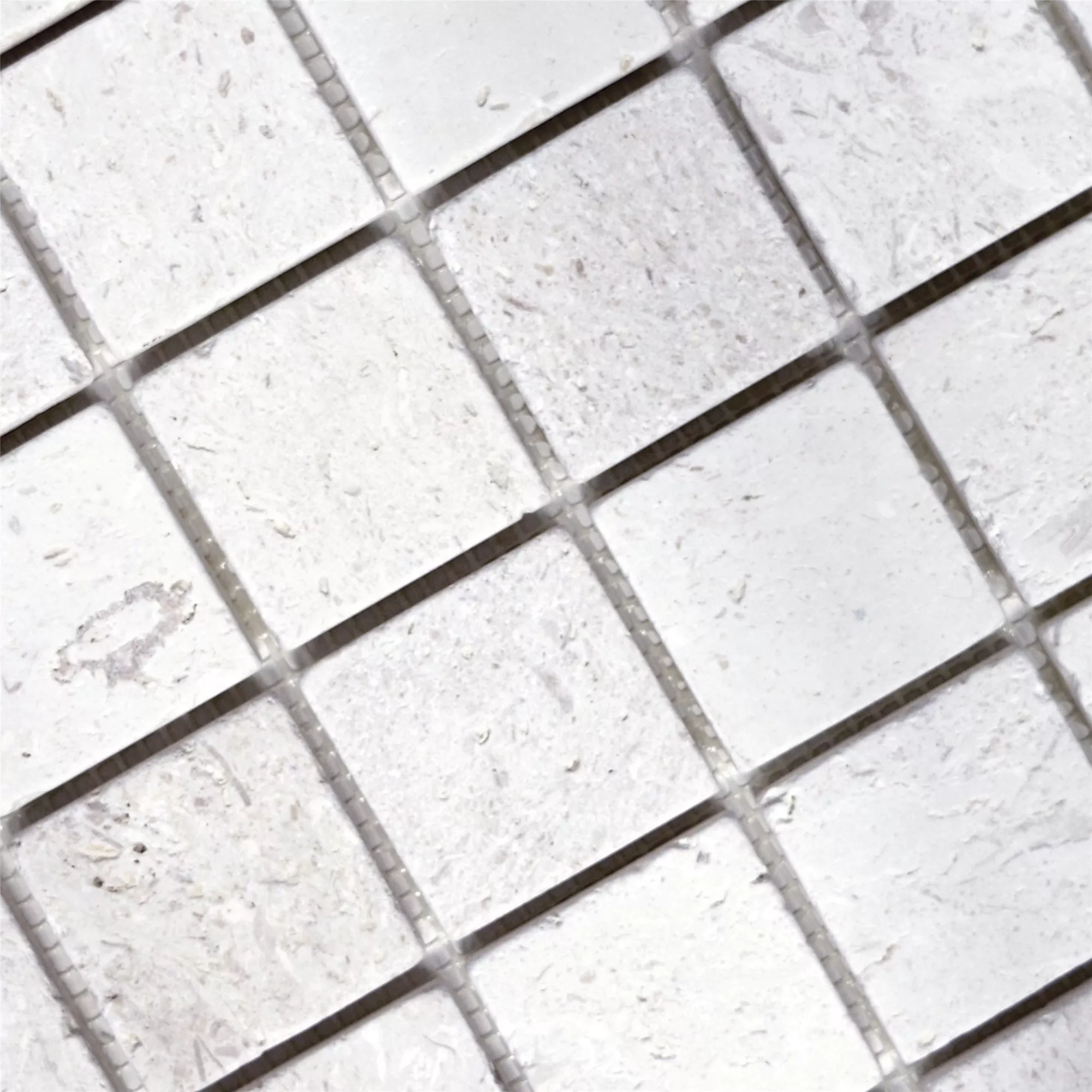 Mosaico Calcare Allerona Bianco 48