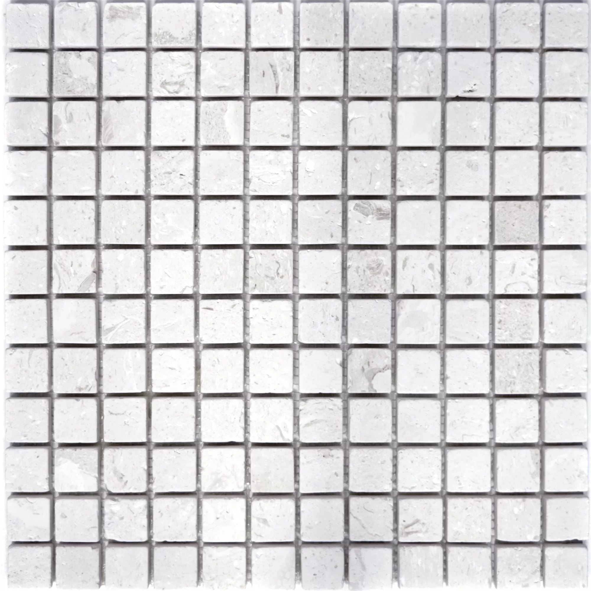Mosaico Calcare Allerona Bianco 23