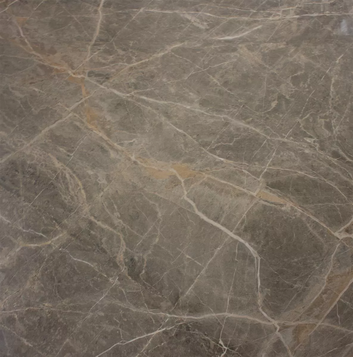Piastrelle Zeven Grigio Beige Oro Ardesia Ottica 60x60cm