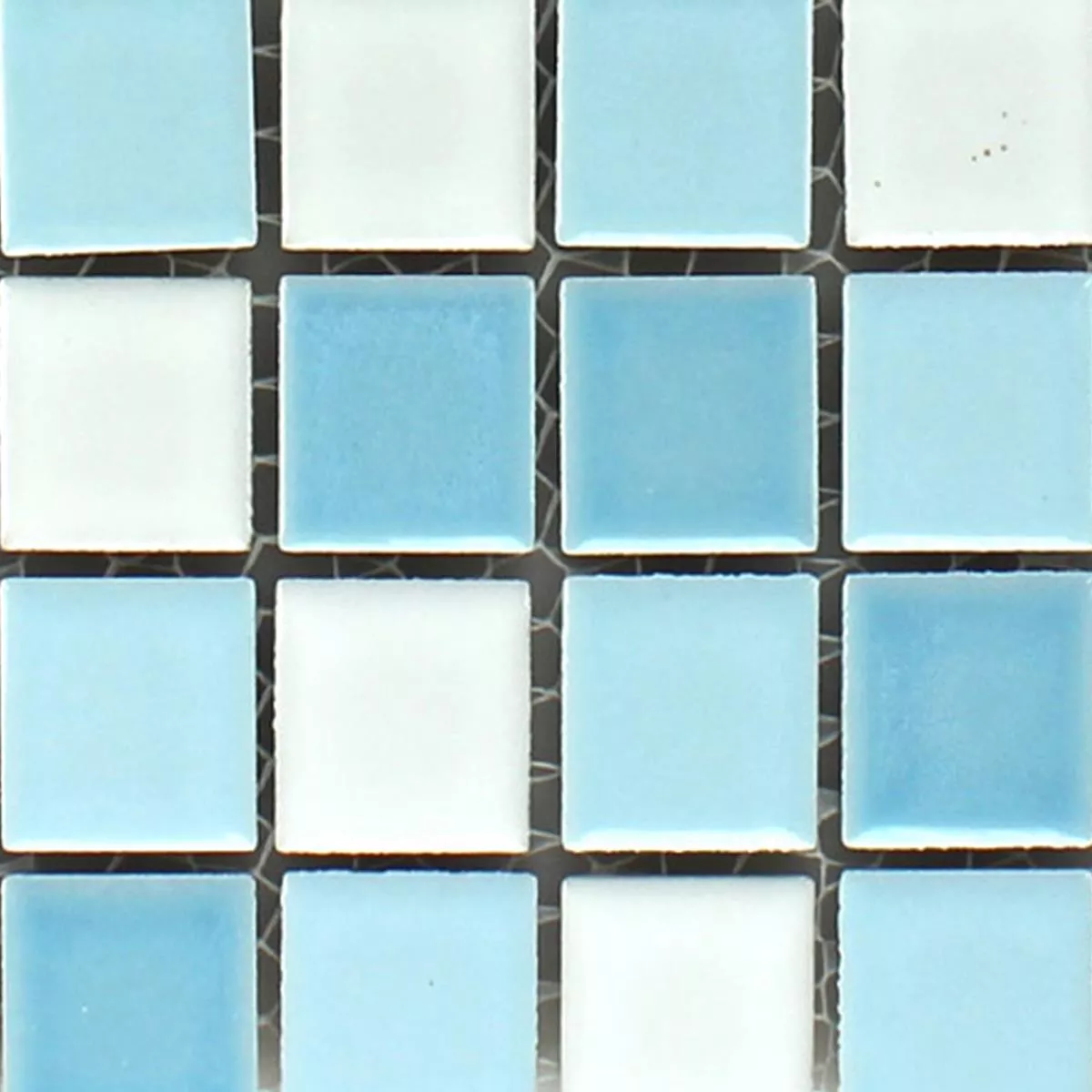 Campione Mosaico Ceramica Blu Bianco 
