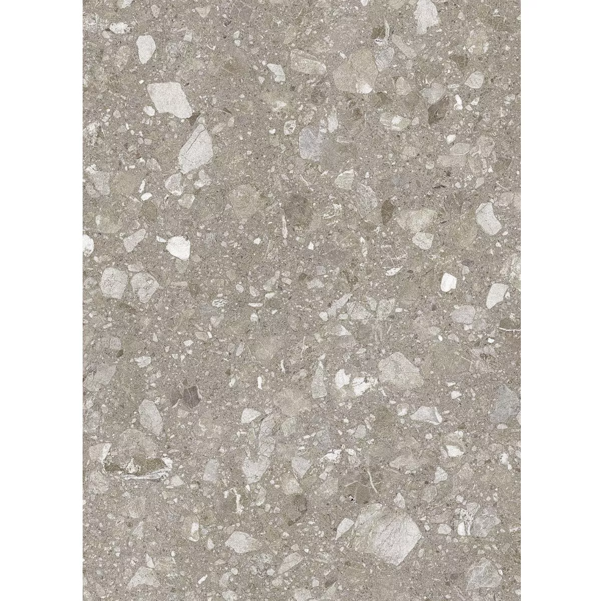 Grigio