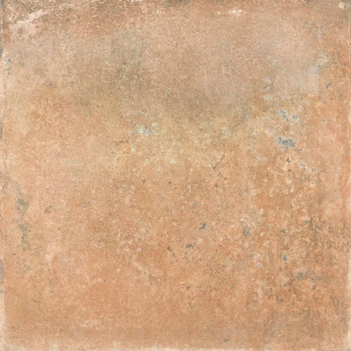 Queens Terracotta Marrone 25x25 cm