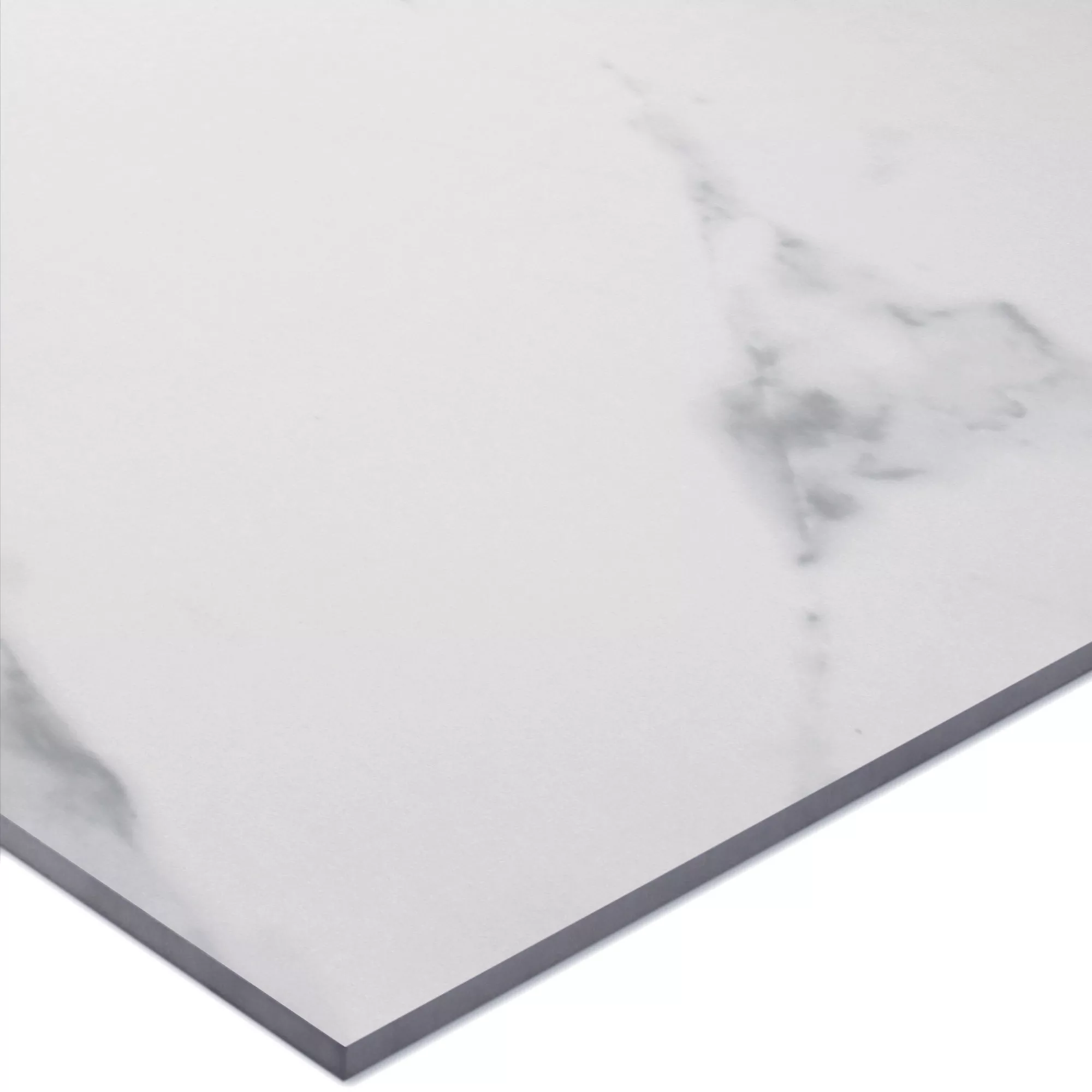 Campione Piastrelle Marmo Ottica Himalaya Bianco Lucidato 60x60cm