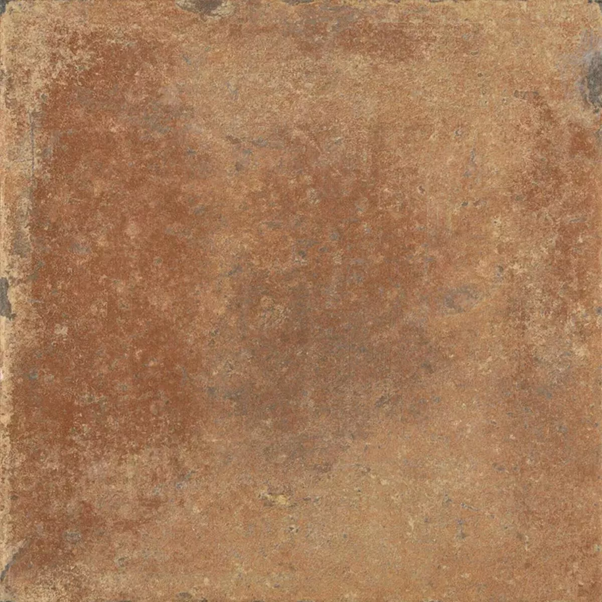 Queens Terracotta Marrone Scuro 25x25 cm