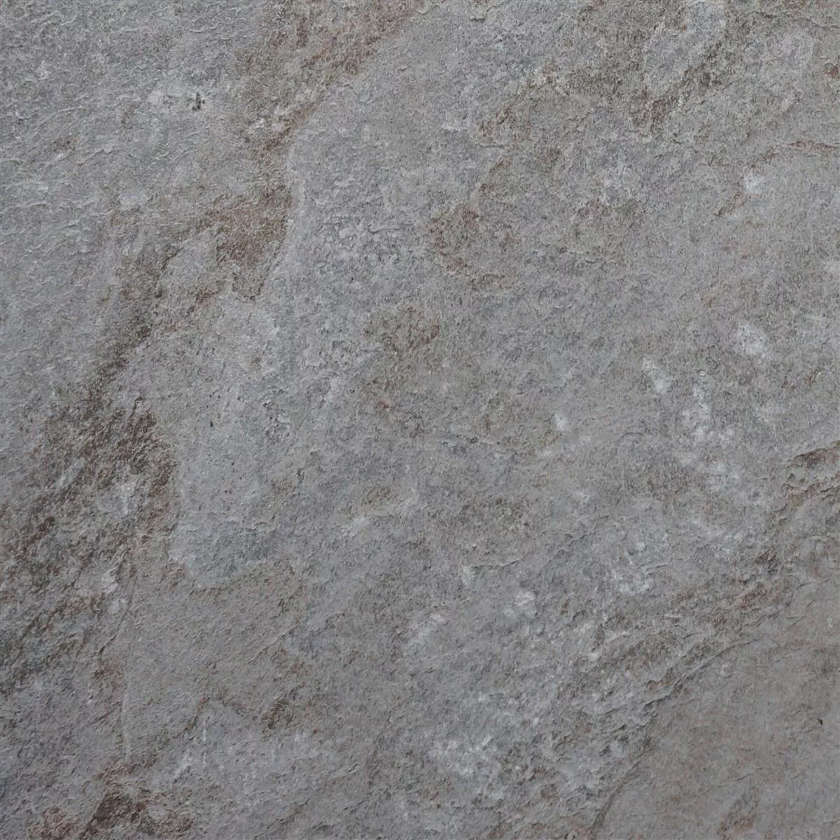 Campione Piastrella Esterni Gres Porcellanato Steinbach Grigio 100x100x2 cm